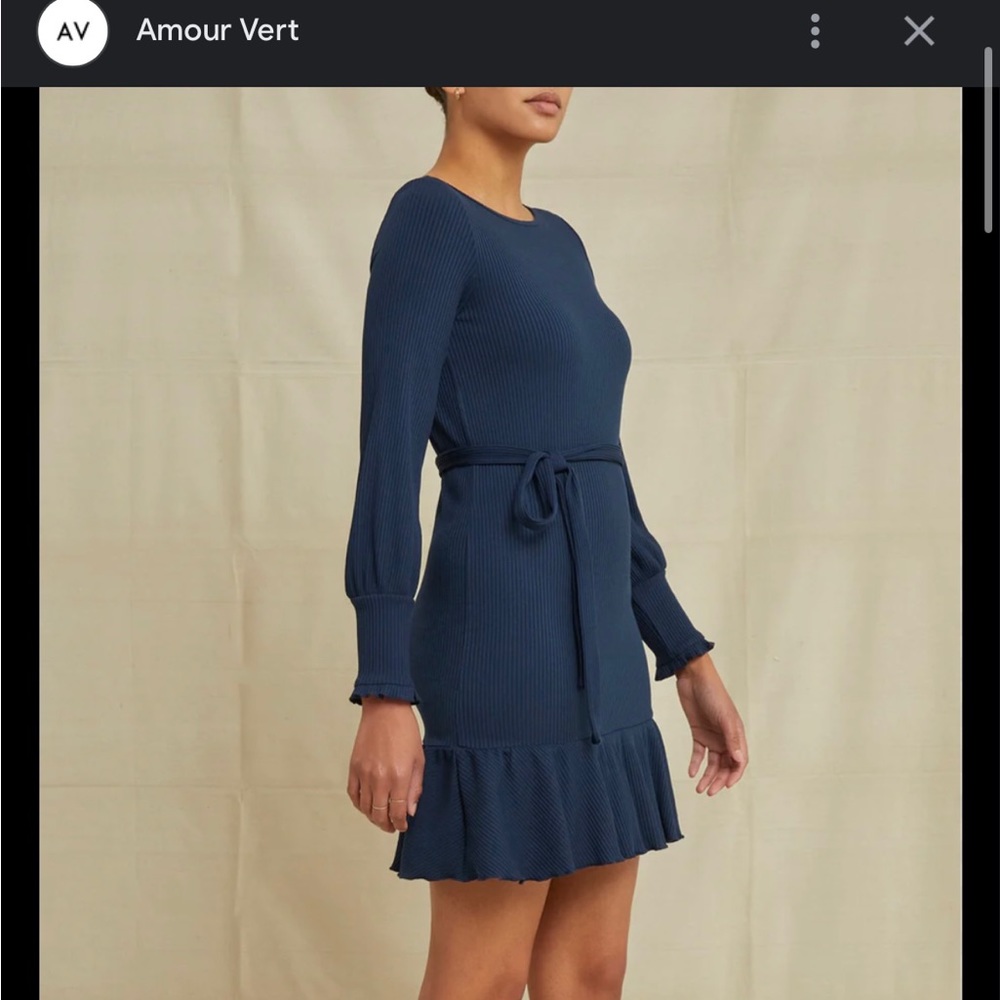 NWT Amour Vert Ziggy Paris Dress